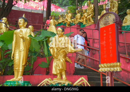 Hong Kong Cina,Hong Kong,Hong Kong,Asia,Cinese,Orientale,nuovi territori,Sha Tin,diecimila 10,000 Buddha Monastero,Golden,percorso,statue,Buddha,Buddismo,Cantonese C. Foto Stock