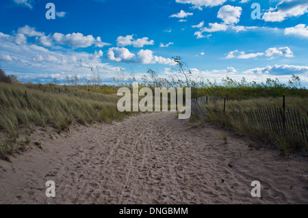 Una sabbia sentiero conduce verso la spiaggia attraverso l'erba dune coperte nella Presqu'ile Park con il cielo blu e nuvole sopra. Foto Stock