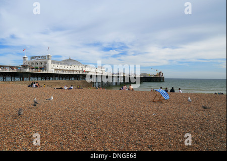 Il Brighton Pier & beach in East Sussex, Regno Unito Foto Stock