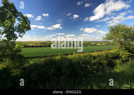 Vista estiva del Harringworth viadotto ferroviario, fiume Welland valley, Harringworth village, Northamptonshire, Inghilterra; Gran Bretagna Foto Stock