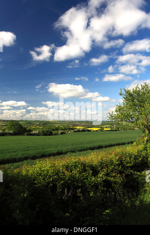 Vista estiva del Harringworth viadotto ferroviario, fiume Welland valley, Harringworth village, Northamptonshire, Inghilterra; Gran Bretagna Foto Stock