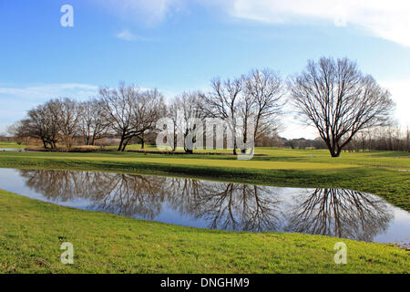 Wisley Campo da Golf, Surrey, Inghilterra, Regno Unito. Il 28 dicembre 2013. Dopo le tempeste in tutto il Regno Unito il periodo di Natale, sabato era una tranquilla e soleggiata giornata in Surrey. Tuttavia ci sono state diverse nuove 'water hazards' su Wisley Campo da golf che ha dovuto chiudere dopo una combinazione di piogge torrenziali e il fiume Wey scoppiare le sue banche avevano lasciato molte parti del corso sotto l'acqua. Credito: Julia Gavin/Alamy Live News Foto Stock