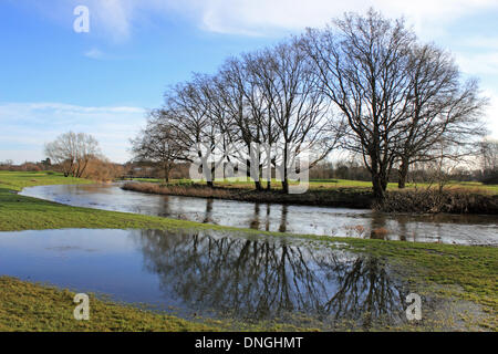 Wisley Campo da Golf, Surrey, Inghilterra, Regno Unito. Il 28 dicembre 2013. Dopo le tempeste in tutto il Regno Unito il periodo di Natale, sabato era una tranquilla e soleggiata giornata in Surrey. Tuttavia ci sono state diverse nuove 'water hazards' su Wisley Campo da golf che ha dovuto chiudere dopo una combinazione di piogge torrenziali e il fiume Wey scoppiare le sue banche avevano lasciato molte parti del corso sotto l'acqua. Credito: Julia Gavin/Alamy Live News Foto Stock