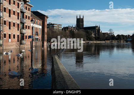 Inondazioni in Worcester dopo il fiume Severn burst le sue banche Foto Stock