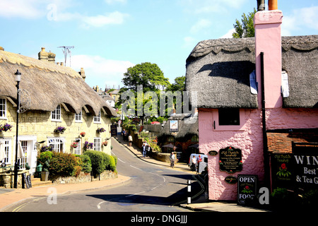 La parte vecchia della città di shanklin con tetti di paglia e incantevoli giardini del tè nell'isola di Wight, Inghilterra, Regno Unito. Foto Stock