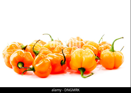 Peperoncini - Pimenta de Cheiro - Giallo Pepe . Foto Stock