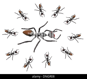 Formiche del giocattolo Foto Stock