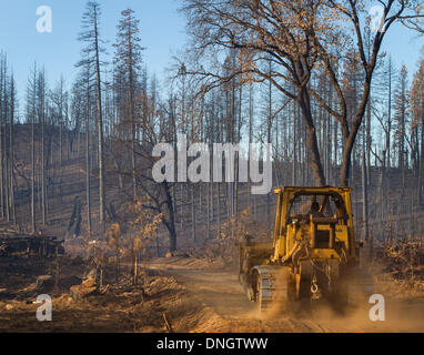 Groveland, California, Stati Uniti d'America. 28 dicembre, 2013. STEVE CROOK, di Crook Logging, Inc. di Groveland, California, continua a rimuovere alberi danneggiati e infrangere le aree entro il cerchio di fuoco nel perimetro Tuolumne County, California, Sabato, Dicembre 28, 2013. Il cerchio il fuoco era iniziato il 17 agosto 2013. Credito: Tracy Barbutes/ZUMAPRESS.com/Alamy Live News Foto Stock