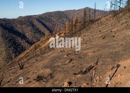 Groveland, California, Stati Uniti d'America. 28 dicembre, 2013. Una vista di una collina bruciato lungo il crinale di Jawbone entro il cerchio di fuoco nel perimetro Tuolumne County, California, Sabato, Dicembre 28, 2013. L incendio è scoppiato il 17 agosto nei pressi del crinale Jawbone Jawbone/area torrente. Credito: Tracy Barbutes/ZUMAPRESS.com/Alamy Live News Foto Stock