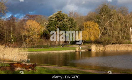 Hampstead Heath su un luminoso winter's day Foto Stock