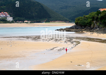 Riserva della Biosfera di Urdaibai Mundaka, Vizcaya, Paesi Baschi, Spagna settentrionale Foto Stock