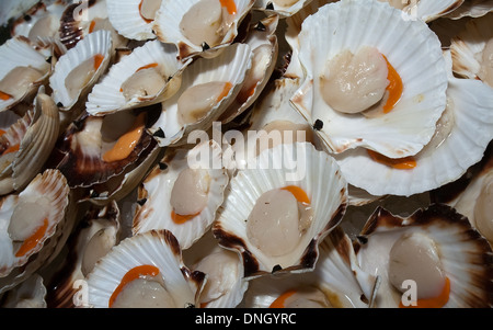 Primo piano della grande materie conchiglie sul mare tabella di mercato Foto Stock