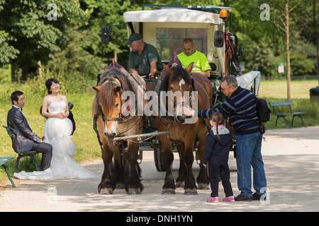 Progetto di cavallo utilizzato nel BOIS DE VINCENNES PARK per lavori di manutenzione, 12esimo arrondissement di Parigi (75), Francia Foto Stock