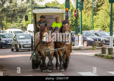 Progetto di cavallo utilizzato nel BOIS DE VINCENNES PARK per lavori di manutenzione, 12esimo arrondissement di Parigi (75), Francia Foto Stock