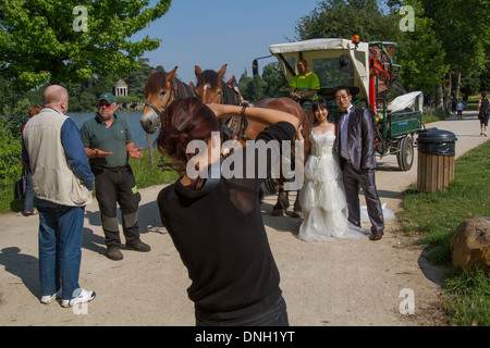 Progetto di cavallo utilizzato nel BOIS DE VINCENNES PARK per lavori di manutenzione, 12esimo arrondissement di Parigi (75), Francia Foto Stock