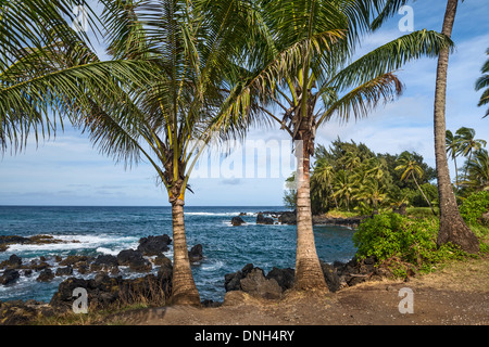 Il robusto costa vulcanica della penisola Keanae in Maui. Foto Stock