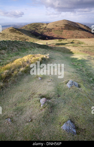 Uno dei molti percorsi fino il Worcestershire Beacon sulle colline di Malvern, Worcestershire, nella primavera al tramonto Foto Stock