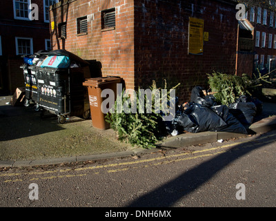 Alberi di Natale e di imballaggio per presenta oggetto di dumping con i rifiuti a un consiglio estate a Londra dopo Natale. Foto Stock