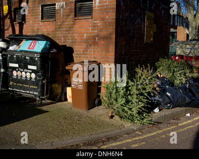 Alberi di Natale e di imballaggio per presenta oggetto di dumping con i rifiuti a un consiglio estate a Londra dopo Natale. Foto Stock