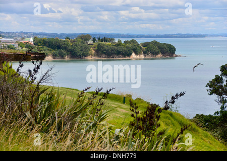 Vista del collo stretto beach e promontori guardando a nord oltre il golfo Huraki dalla testa del nord di Auckland, Nuova Zelanda Foto Stock