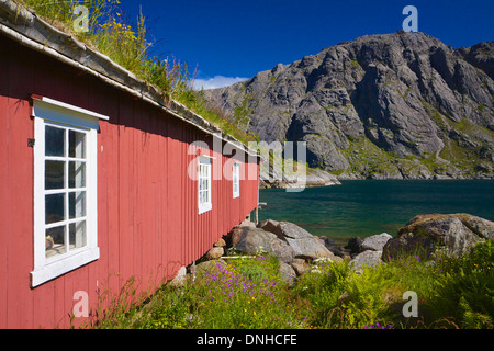 Tradizionale in rosso la pesca capanna con il tetto verde nel pittoresco villaggio di Nusfjord sulle isole Lofoten in Norvegia Foto Stock