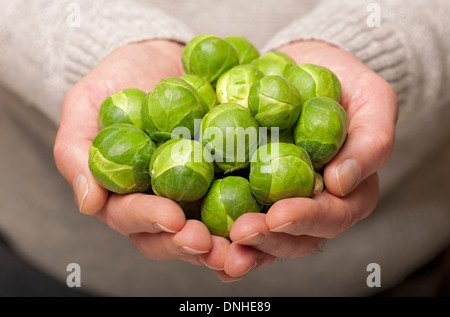 Primo piano delle mani di un uomo che tiene brussel crudo Bruxelles germogli germogli freschi verdure verdi verdure verdure Foto Stock