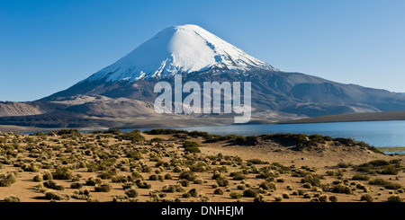 Vulcano Parinacota, Lauca national park, Cile Foto Stock