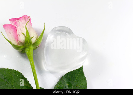 Cuore di ghiaccio in rosa astratto amore san valentino sfondo con acqua Foto Stock