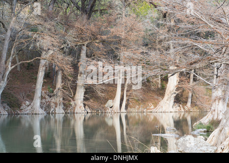 Cipresso calvo alberi riflettendo in acque tranquille del fiume Guadalupe in Texas Foto Stock