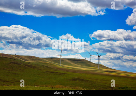 Le turbine eoliche su una collina, Vallata, Avellino, Campania, Italia Foto Stock