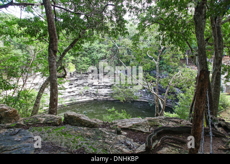 Il sacro cenote a Chichen Itza rovine maya sulla penisola dello Yucatan Messico America del Nord Foto Stock