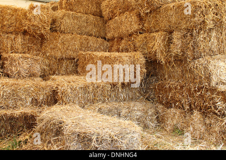 Il lato interno di un fienile Foto Stock