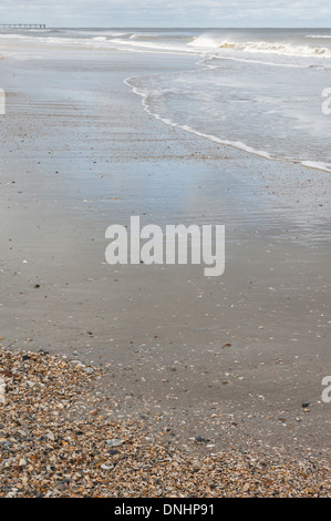 Sabbia bagnata e conchiglie su una costa vuota a Jacksonville Beach, sulla costa orientale della Florida. (USA) Foto Stock