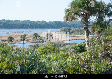 Vista della Guana River Wildlife Management area dalle dune di sabbia oceaniche di Ponte Vedra Beach, Florida. (USA) Foto Stock