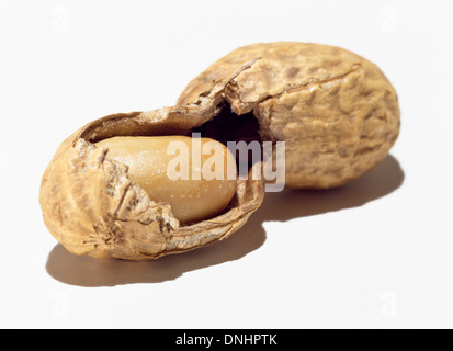 Un aperto a metà l'Arachide e shell su uno sfondo bianco. Foto Stock