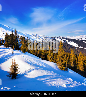 Pista da sci vicino a Zell am See, Alpi austriache Foto Stock