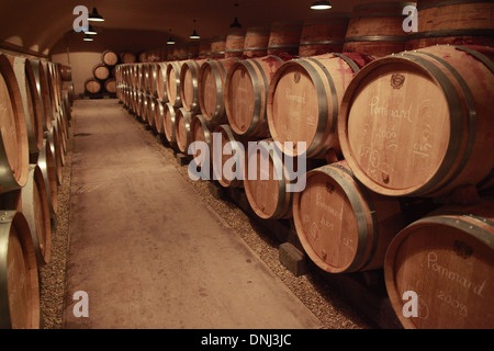 Cantina di Invecchiamento PER I VINI DELLA MAISON LOUIS JADOT, COTE D'OR (21), Bourgogne, Francia Foto Stock