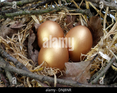 Tre golden le uova in un nido Foto Stock