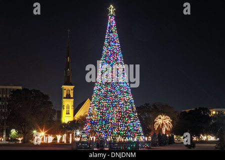 Albero di Natale e la cittadella piazza Chiesa Battista on Marion Square nel centro storico di Charleston, Carolina del Sud. Foto Stock