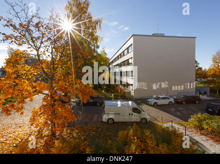 Ottobre la luce del sole rende le foglie di autunno illuminano e gioca con i suoi riflessi dalle finestre delle case vicine. Foto Stock