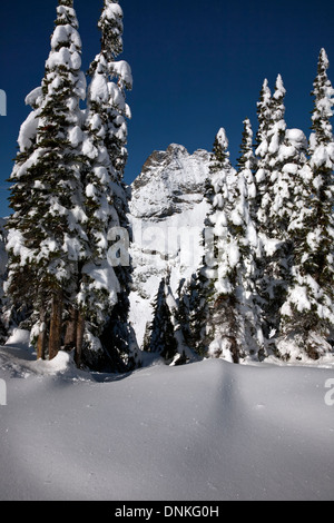 WASHINGTON - Corteo picco derivante dal passaggio di acero sentiero dopo un inizio inverno tempesta di neve nel Parco Nazionale delle Cascate del Nord. Foto Stock