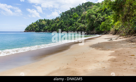 Remote inglese's Beach tra isola dei Caraibi villaggi di Castara e Parlatuvier, Tobago Trinidad & Tobago, West Indiess Foto Stock