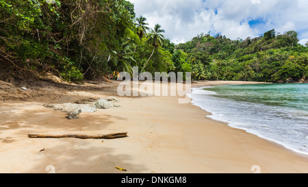 Spiaggia remota inglese tra i villaggi delle isole caraibiche di Castara e Parlatuvier, Tobago, Trinidad e Tobago, Indie Occidentali Foto Stock