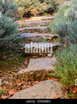 Percorso giardino su grandi lastre di pietra in golden sunshine. Maiorca, isole Baleari, Spagna in ottobre. Foto Stock