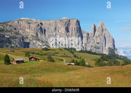 Moutn Sciliar nelle Dolomiti italiane Foto Stock
