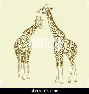 Due giraffe. Illustrazione Vettoriale. Illustrazione Vettoriale