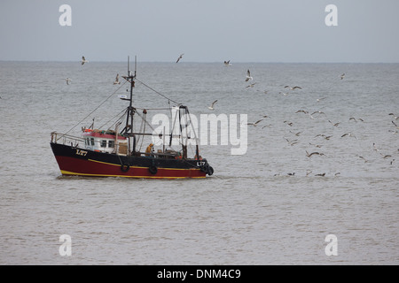 La pesca a strascico per le aringhe Foto Stock