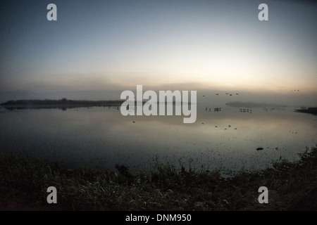 Agemon Bird Sanctuary,Galilea superiore,Israele Foto Stock