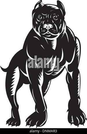 Illustrazione di un pitbull cane fatto rétro xilografia stile. Illustrazione Vettoriale