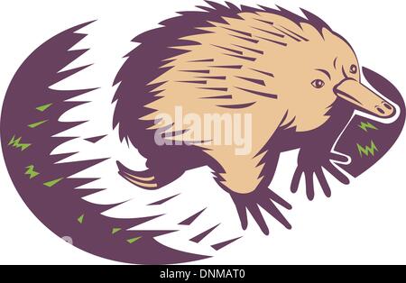 Illustrazione di un anteater spinosa o echidna Illustrazione Vettoriale